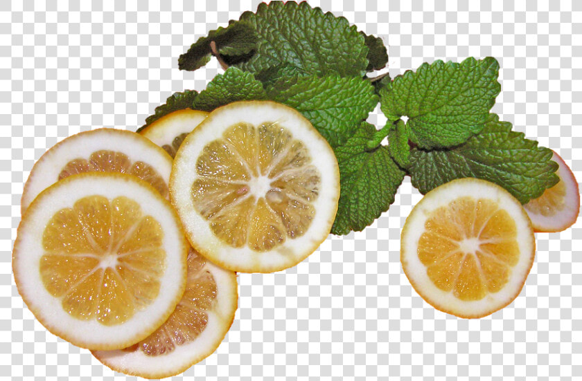 Lemons  With  Lemon  Balm  Refreshment   Lemon  HD Png DownloadTransparent PNG
