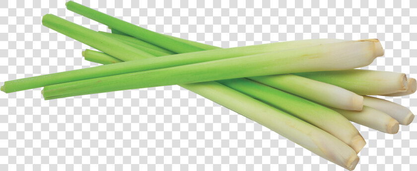 Transparent Lemongrass Clipart   Lemon Grass Png  Png DownloadTransparent PNG