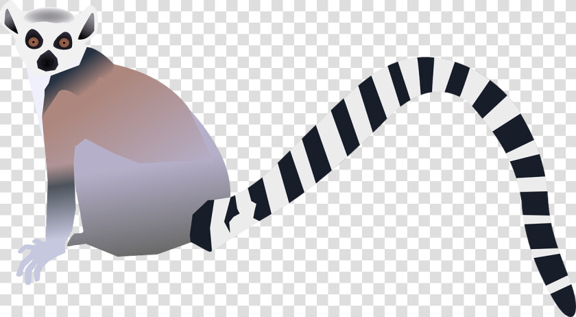Lemur Clip Art  HD Png DownloadTransparent PNG