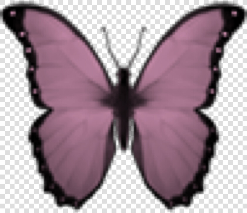  butterfly  kelebek  emoji  smiley  kelebekler  pink   Iphone Butterfly Emoji  HD Png DownloadTransparent PNG
