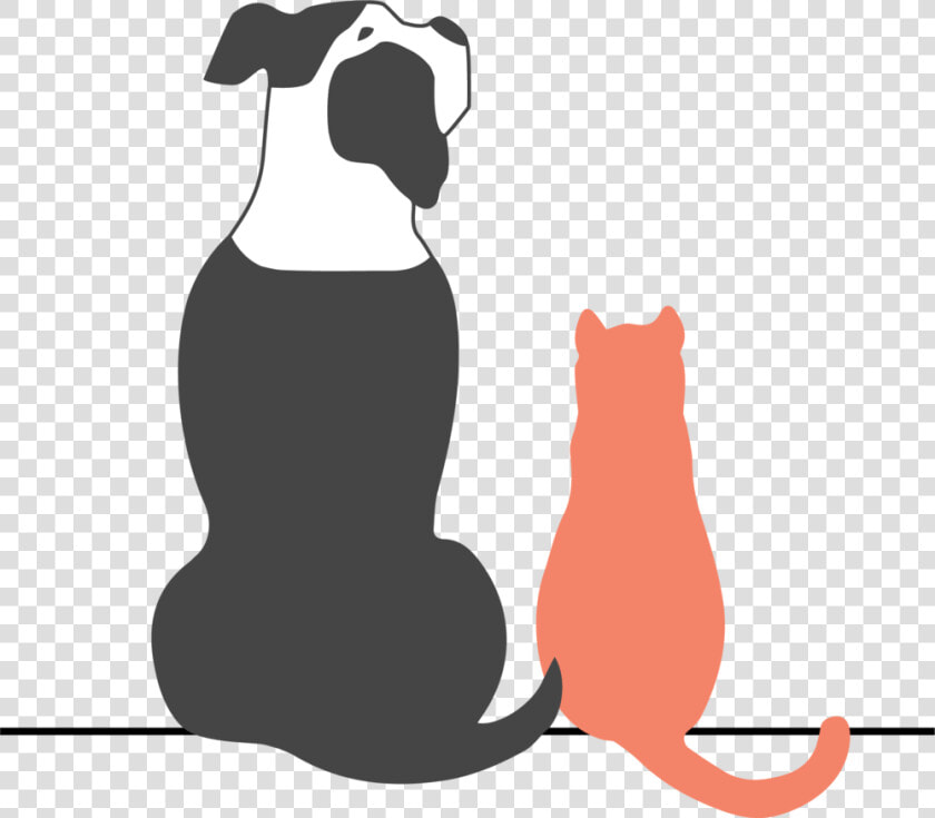 Bib Logo Alt Final Color  HD Png DownloadTransparent PNG
