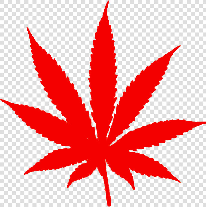 Foglia Di Marijuana Png   Marijuana Leaf  Transparent PngTransparent PNG