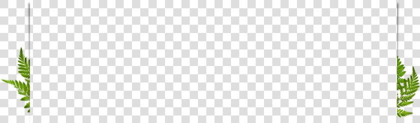 Parallel  HD Png DownloadTransparent PNG