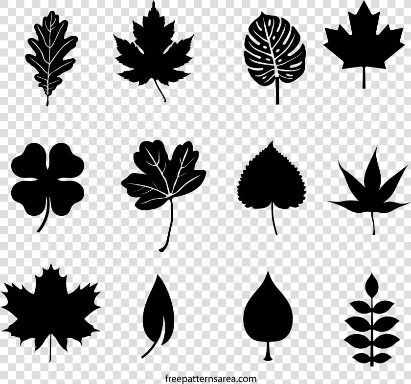 Tree Branch With Leaves Silhouette Png   Leaf Shape Leaf Silhouette  Transparent PngTransparent PNG