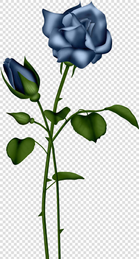 Bed Of Roses Scrapbooking Flowers  Digital Scrapbooking    Light Blue Rose Transparent  HD Png DownloadTransparent PNG