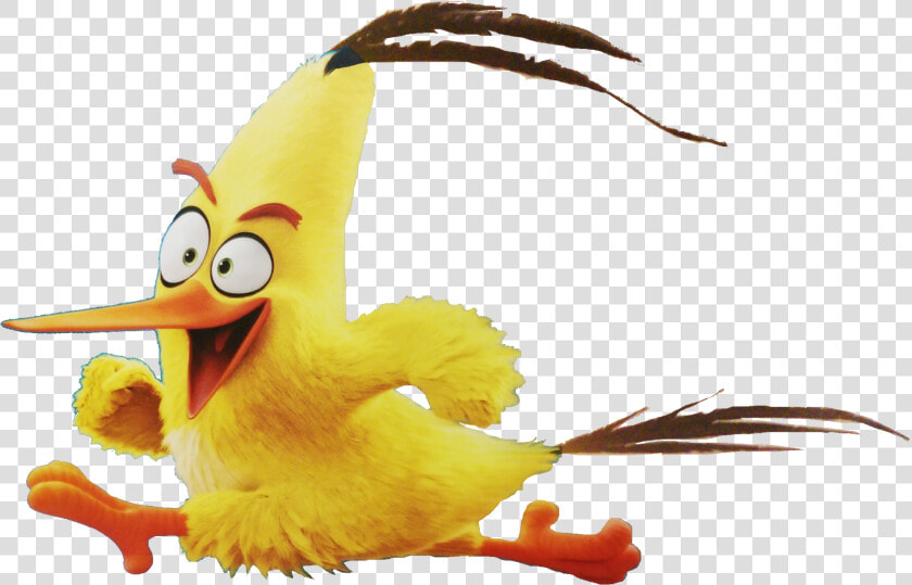 Transparent Angry Bird Png   Angry Birds Movie Chuck Running  Png DownloadTransparent PNG