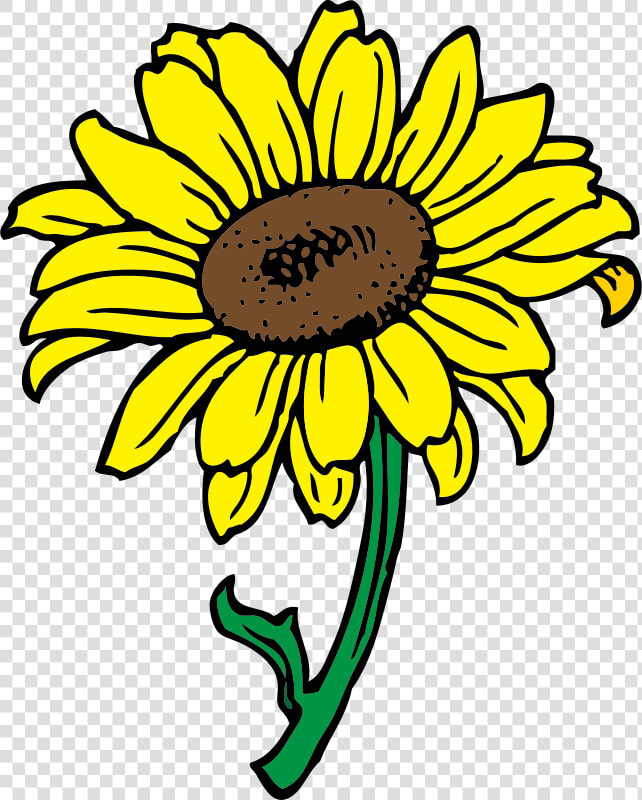 Sunflower Clipart Transparent Background   Sunflower Flower Clip Art  HD Png DownloadTransparent PNG