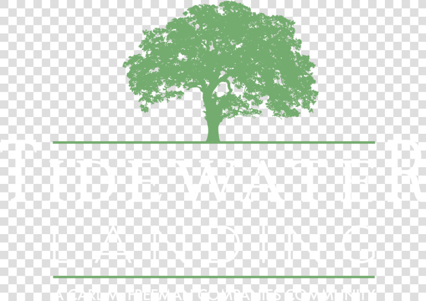 Tidewater Landing   Oak  HD Png DownloadTransparent PNG
