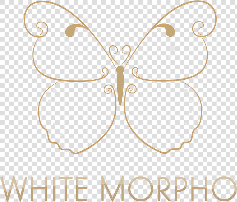 Brush footed Butterfly  HD Png DownloadTransparent PNG