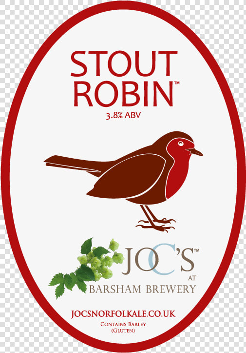 Stout Robin Brings Seasonal Cheer For Fans Of Jo C   Finch  HD Png DownloadTransparent PNG