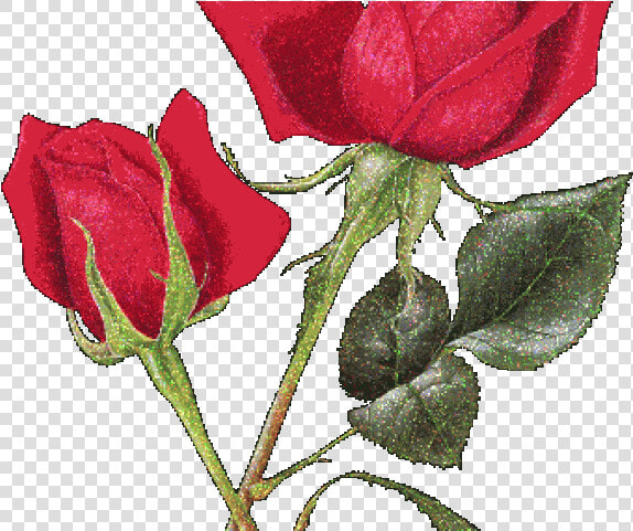 Pink X Free Clip   Joyeux Anniversaire Avec Chat Noir  HD Png DownloadTransparent PNG