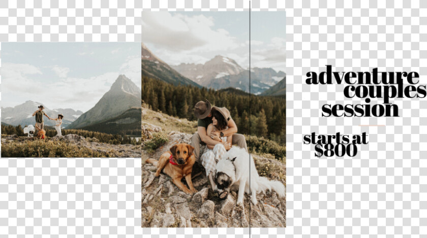 21 J Vigil Photo Adventure Couples Session Glacier  HD Png DownloadTransparent PNG