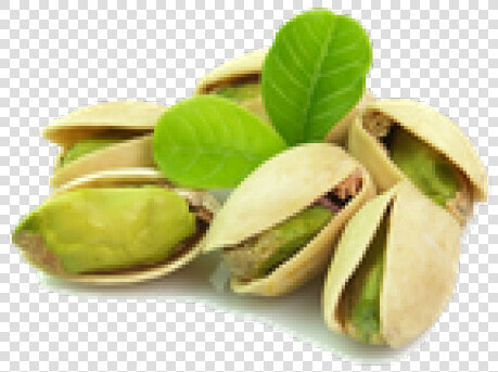 Pistachio Png Transparent Images   Pistachio Transparent  Png DownloadTransparent PNG