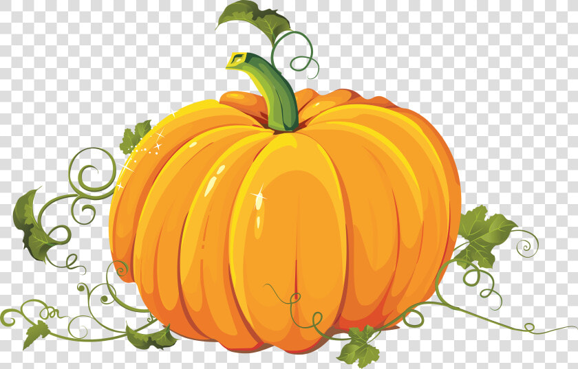 Pumpkin Pie Cucurbita Pepo Clip Art   Transparent Background Pumpkin Clipart  HD Png DownloadTransparent PNG