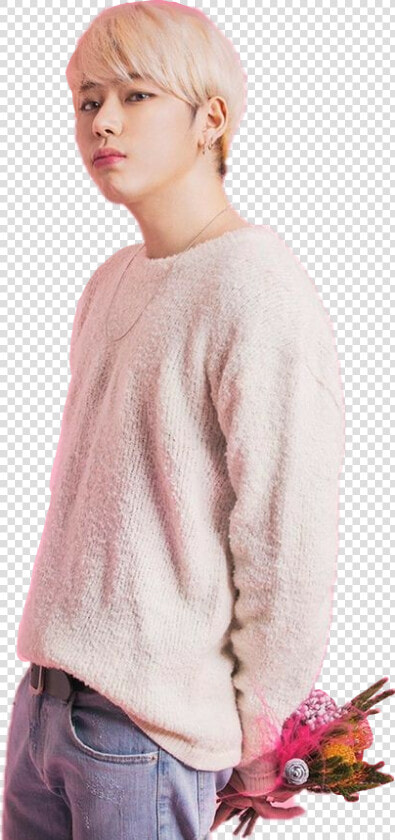 Zico Block Woo Jiho Woojiho   Zico Block B Pink  HD Png DownloadTransparent PNG