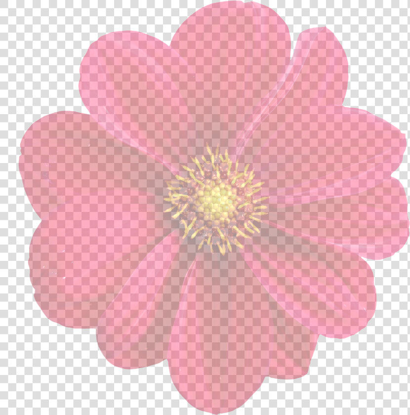 Dahlia Clipart Flower Blossom   Animasi Bunga Dahlia  HD Png DownloadTransparent PNG