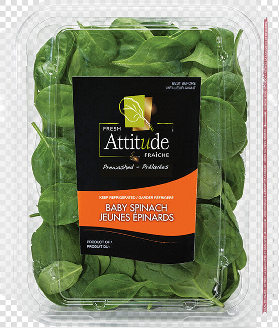 Fresh Attitude Baby Spinach 5oz Product  HD Png DownloadTransparent PNG