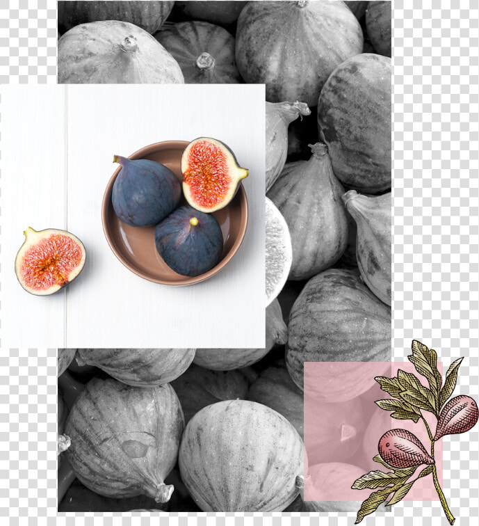Common Fig  HD Png DownloadTransparent PNG
