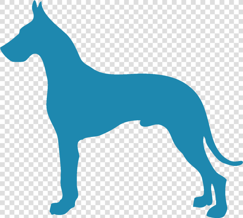 Great Dane  HD Png DownloadTransparent PNG