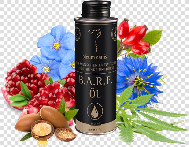 Oleum Canis B   Flower  HD Png DownloadTransparent PNG