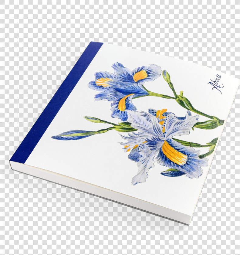 Picture Of Flower Desk Iris   Iris  HD Png DownloadTransparent PNG