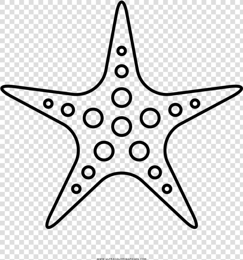 Transparent Starfish Clipart Png   Sea Star Fish Outline  Png DownloadTransparent PNG