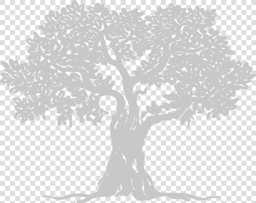 Shepherd Care Ministries  HD Png DownloadTransparent PNG