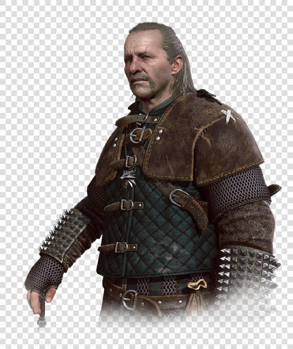 Witcher 3 Vesemir Png   Png Download   Witcher 3 Characters Witchers  Transparent PngTransparent PNG