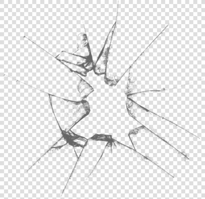  smashed  broken  glass  clear  smash  crack  cracked   Transparent Broken Glass Png  Png DownloadTransparent PNG