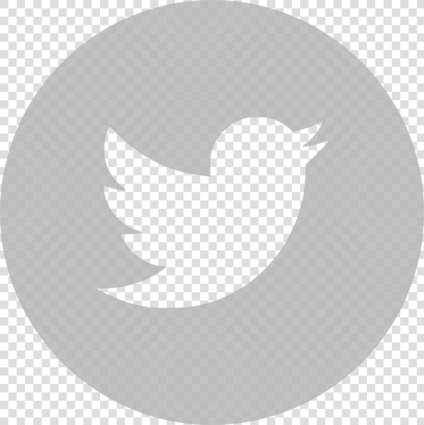 Twitter Logo White Vector   Black Twitter Logo Transparent Background  HD Png DownloadTransparent PNG