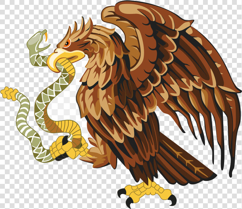 Eagle Mexican Clipart Mexico Cuisine Bald Transparent  HD Png DownloadTransparent PNG