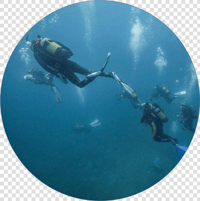 Transparent Ocean Bubbles Png   Underwater  Png DownloadTransparent PNG