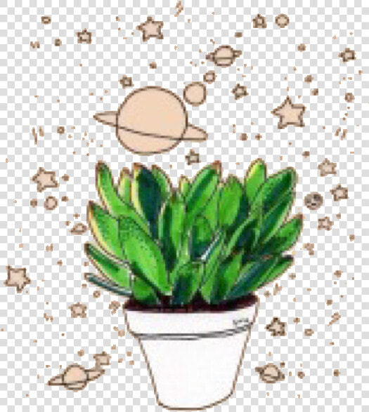 Houseplant  HD Png DownloadTransparent PNG