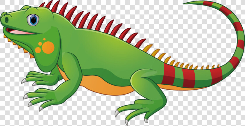 Lizard Chameleons Green Iguana Reptile   Iguana Clipart Png  Transparent PngTransparent PNG
