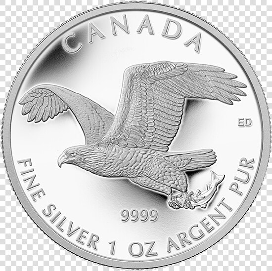130580 Rev 570 1    Coin  HD Png DownloadTransparent PNG