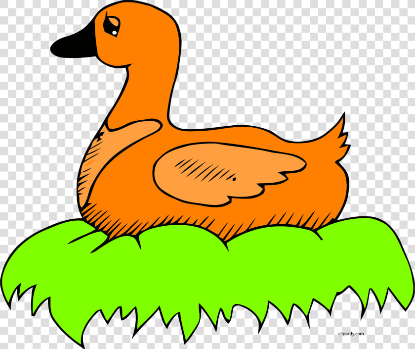 Orange Duck In Nest Clip Art Clipart Png   Duck On The Nest Clipart  Transparent PngTransparent PNG