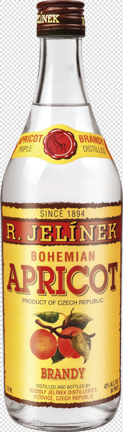Bohemian Png  Transparent PngTransparent PNG