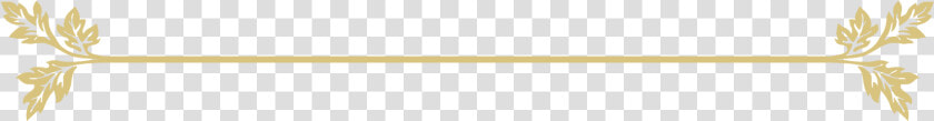 Horizontal Line Png Clipart  Transparent PngTransparent PNG