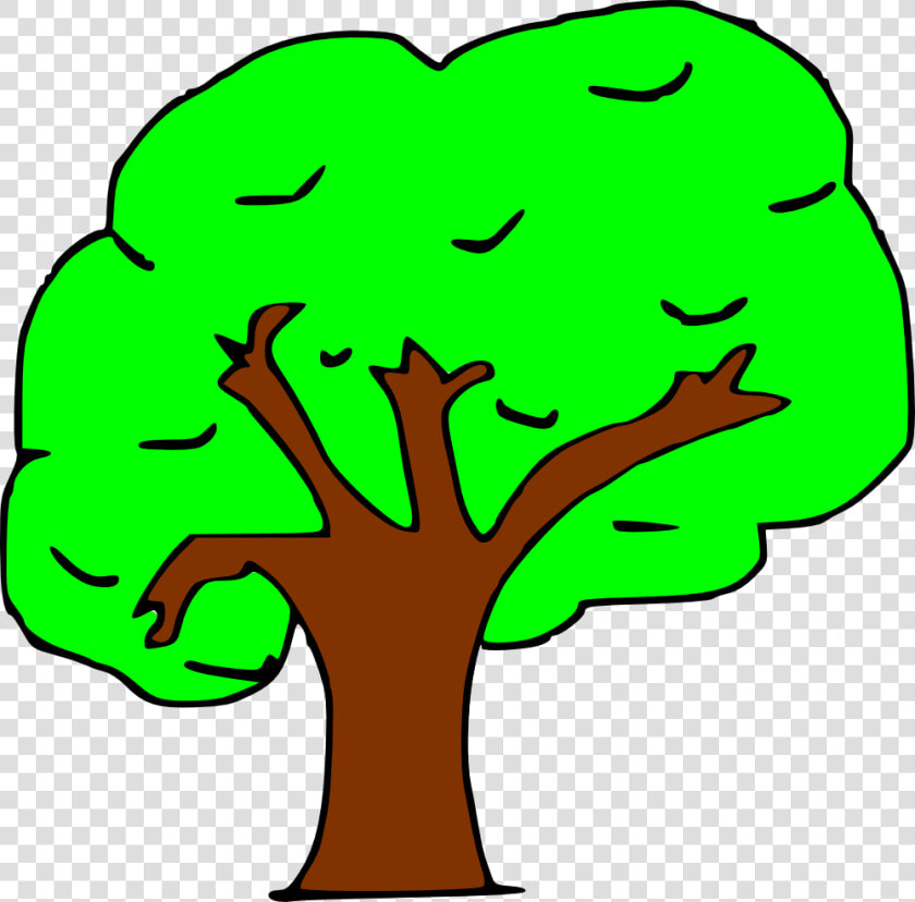Arbol   Arbol Clipart  HD Png DownloadTransparent PNG