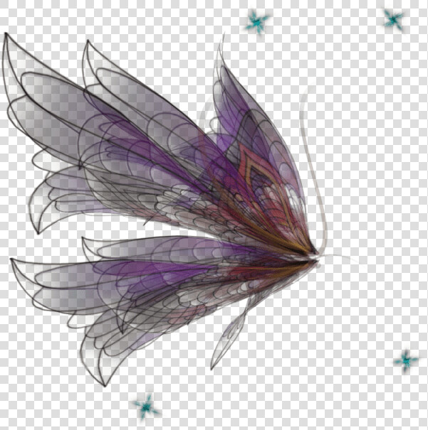 Realistic Fairy Wings Png  Transparent PngTransparent PNG