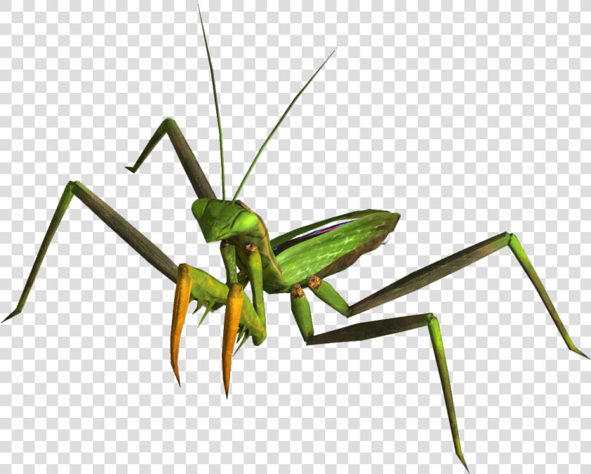 Mantis Png   Fallout New Vegas  Transparent PngTransparent PNG