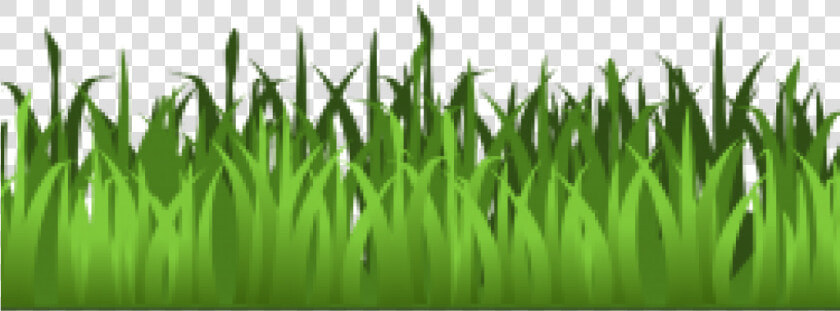 Green Grass Clip Art Meadow Green Grass Clipart Isolated   Transparent Transparent Background Grass Clipart  HD Png DownloadTransparent PNG