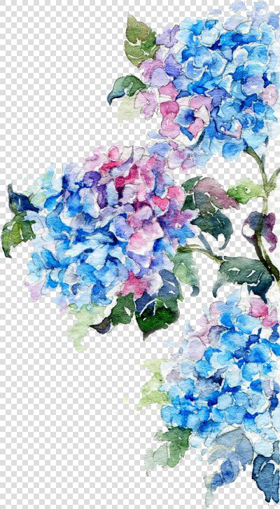 Watercolor Painting Flower Drawing Watercolor Flowers  HD Png DownloadTransparent PNG