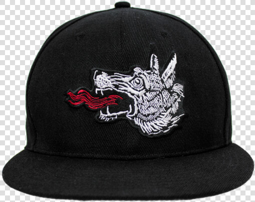 Snapback Hats Png  Transparent PngTransparent PNG
