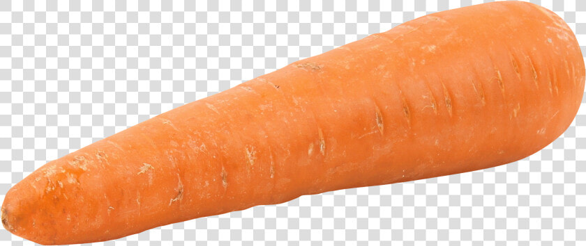 Fat Orange Carrot Png Image   Carrot Png  Transparent PngTransparent PNG