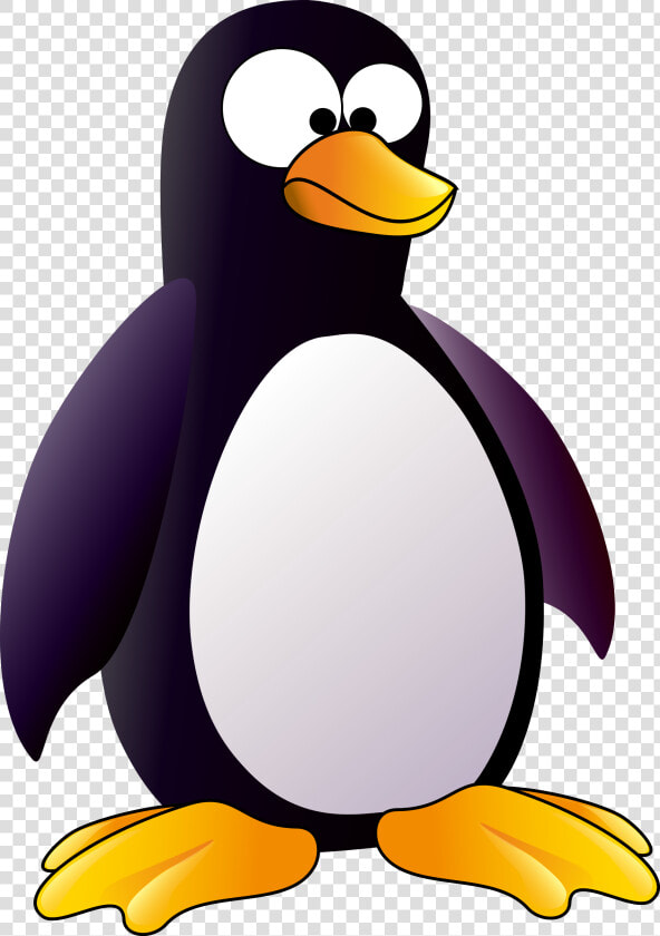 Gentoo penguin   Penguin Clipart  HD Png DownloadTransparent PNG