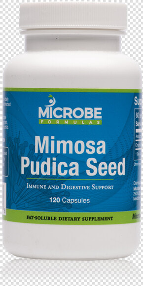 Mimosa Pudica Seed   Health  HD Png DownloadTransparent PNG