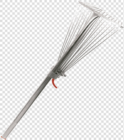 Damselfly  HD Png DownloadTransparent PNG
