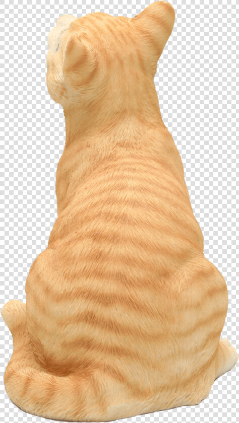 Arabian Mau  HD Png DownloadTransparent PNG