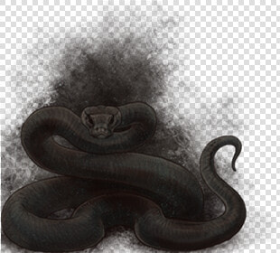 Serpent  HD Png DownloadTransparent PNG
